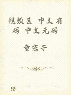 视频区 中文有码 中文无码